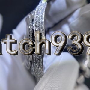 訂制 正品126234 滿天星