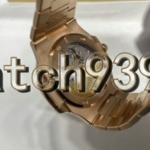 訂制 PP5711 紅寶石