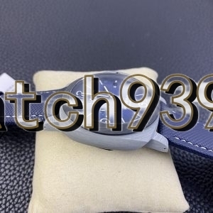 VS PAM1663