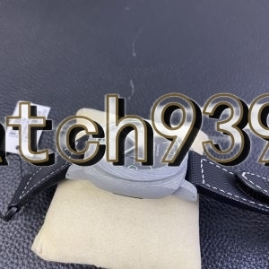VS PAM1119