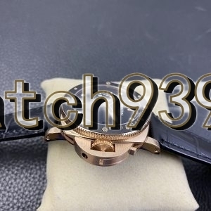 VS PAM 974 PAM684“雙胞胎兄弟”