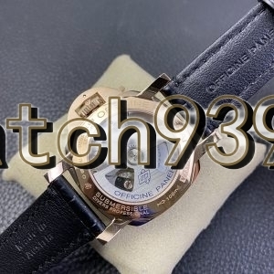 VS PAM 974 PAM684“雙胞胎兄弟”