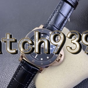 VS PAM 974 PAM684“雙胞胎兄弟”