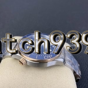 VS 新版海馬300藍盤間金款