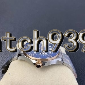 VS 新版海馬300藍盤間金款