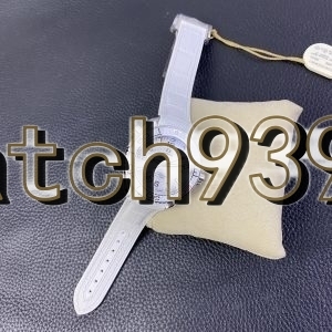 VS 女士腕錶海洋宇宙600米