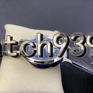 ZF達文西 勞倫斯限制特別款IW393402男士機械腕錶
