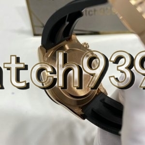 訂制 116515LN-0055 Meteorite