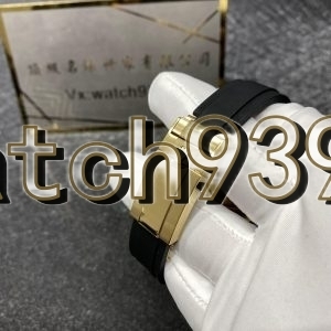 訂制 116518LN Meteorite
