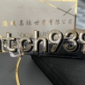 訂制 PP 5711G-001