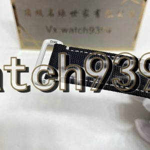 訂制 Rolex DIW NTPT