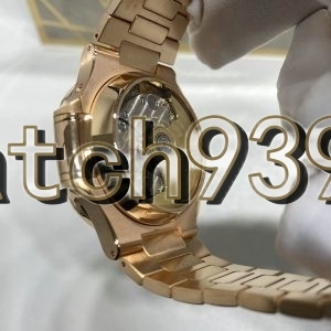 訂制 PP 5980/1R-001