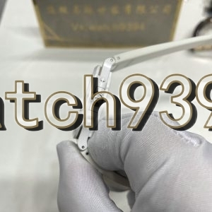 訂制 PP 5711 AET